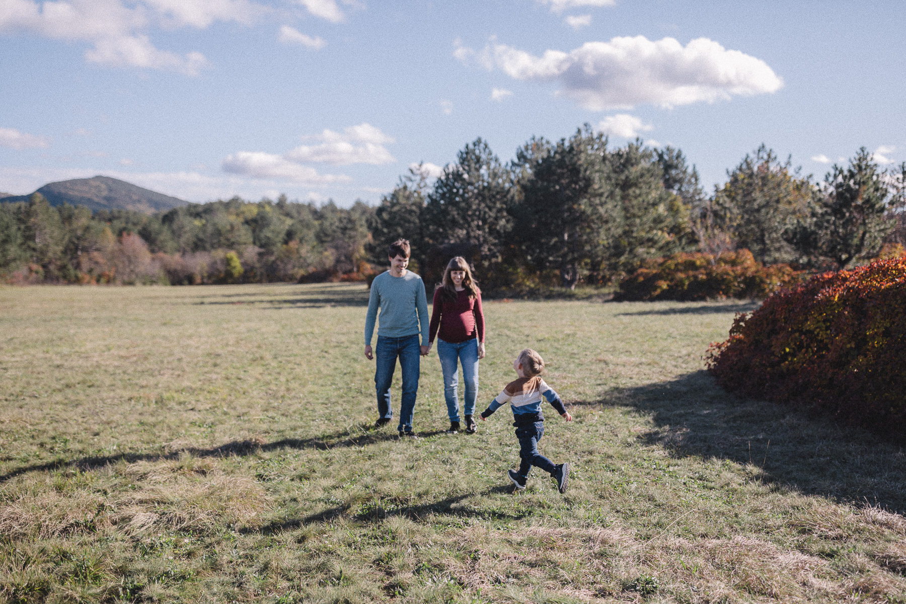 family Nabergoj